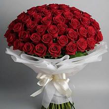 Букет 101 Красная роза Блэк Мэджик в Шолохово