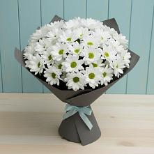 Букет цветов из:  Хризантемы #REPLACE_PRED# Шолохово