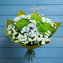 Букет цветов из:  Хризантемы #REPLACE_PRED# Шолохово