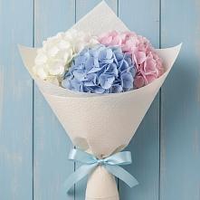 Букет цветов из:  Гортензия в Шолохово