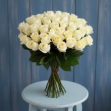 Букет 51 Белая роза Эдлесс Лав #REPLACE_PRED# Шолохово