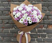 Букет цветов из:  Хризантемы в Шолохово