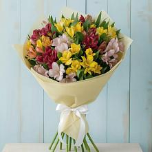 Букет цветов из:  Альстромерии #REPLACE_PRED# Шолохово