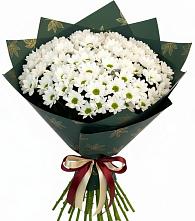 Букет цветов из:  Хризантемы #REPLACE_PRED# Шолохово