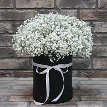Цветочная композиция из Гипсофила в шляпной коробке в Шолохово