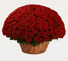 Премиум букет из: Розы в Шолохово