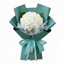 Букет цветов из:  Гортензия #REPLACE_PRED# Шолохово